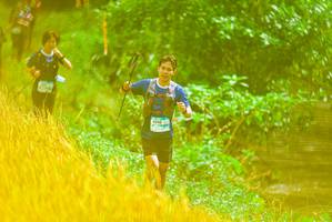 BIB: 1010
                            <button type="button" onclick="openModal(13456742)" class="btn btn-primary btn-sm float-right btn-popup" data-toggle="modal" data-target=".modal-high-quality">
                        <i class="fas fa-shopping-cart"></i> Add to Cart
                    </button>
                                            <button type="button" onclick="isThisMe(13456742, true)" class="btn btn-success btn-sm float-right btn-popup btn-isme hidden" data-toggle="tooltip" data-placement="bottom" title="นี่คือรูปของคุณใช่ไหม คลิกที่นี่เพื่อเอาเข้าอัลบั้ม">
                        <i class="fas fa-plus"></i> Add to album
                    </button>
                    <button type="button" onclick="isThisMe(13456742, false)" class="btn btn-warning btn-sm float-right btn-popup btn-isnotme hidden">
                        <i class="fas fa-ban"></i> Remove from album
                    </button>